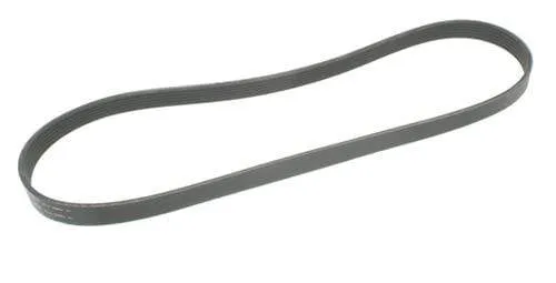 Accessory Belt |  Mk5 & Mk6 TDI