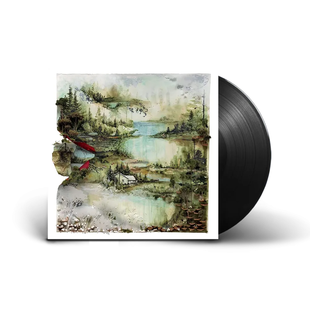 Bon Iver / Bon Iver, Bon Iver LP Vinyl