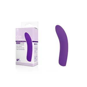 Cozy Pointer -  -  12.7 USB Rechargeable Mini Vibrator