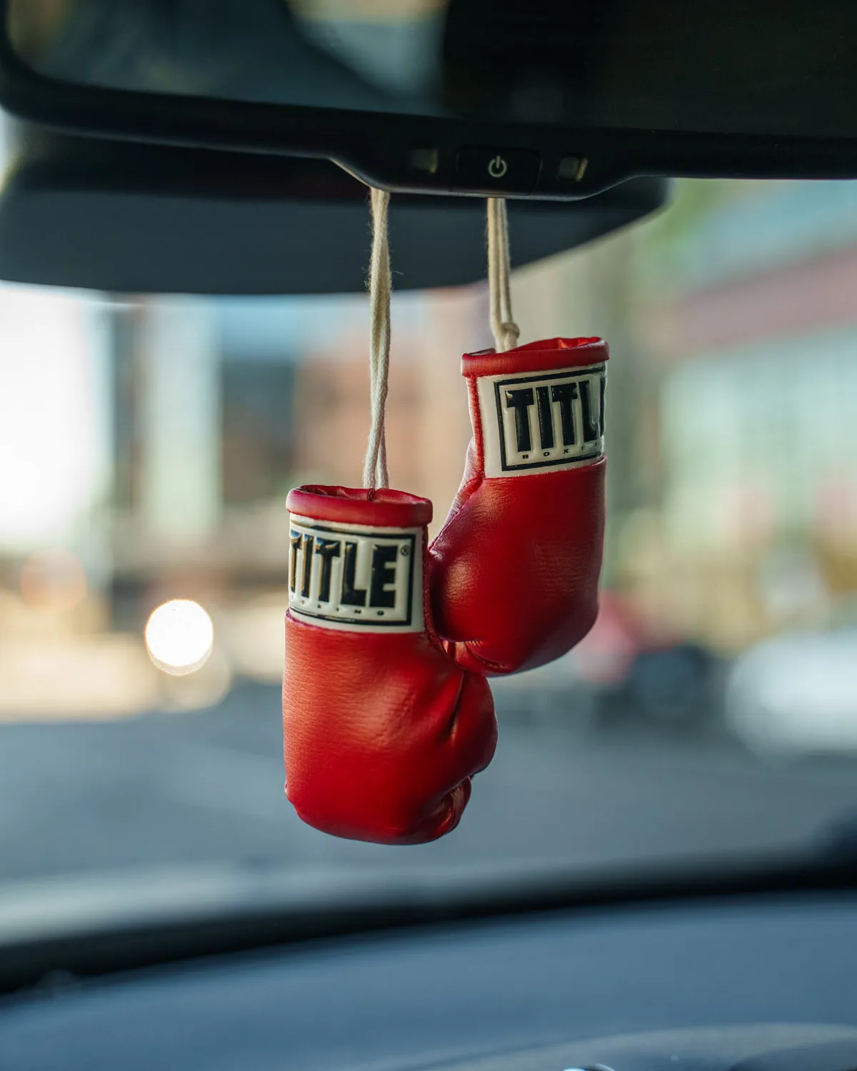 TITLE Boxing 3.5” Mini Boxing Gloves