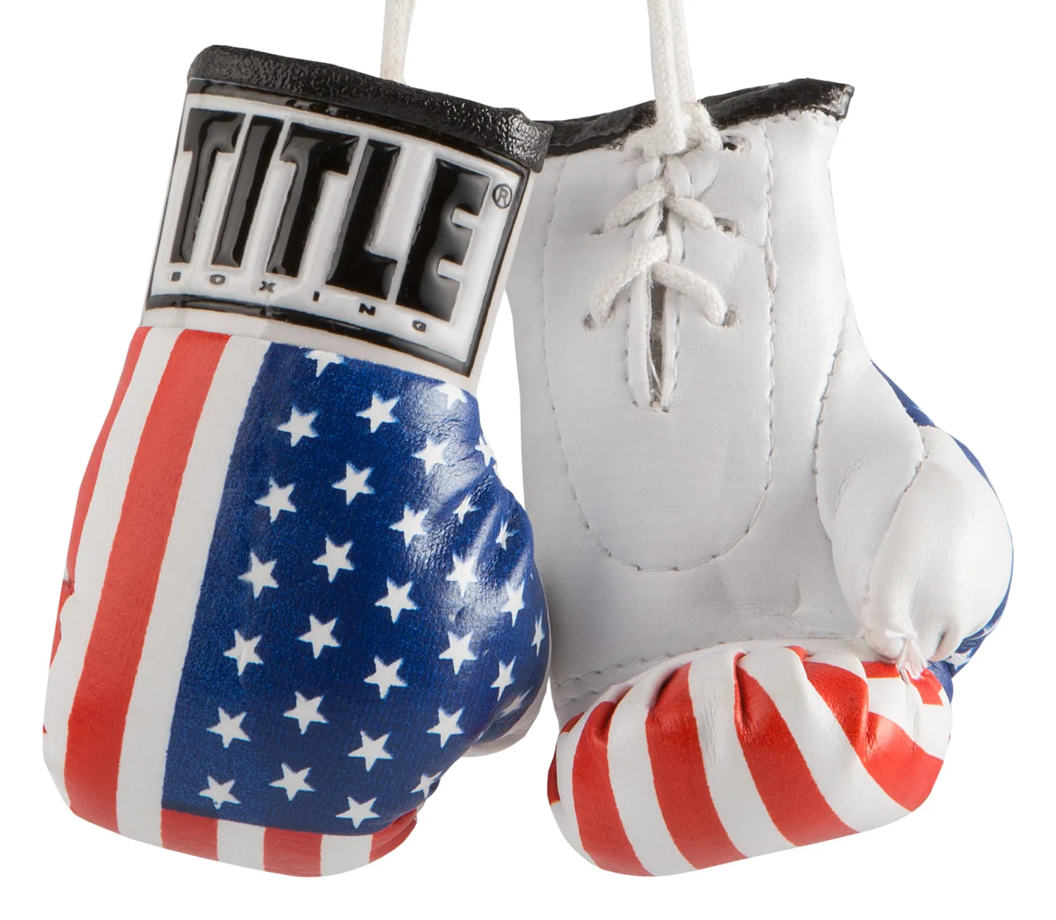 TITLE Boxing 3.5” Mini Boxing Gloves