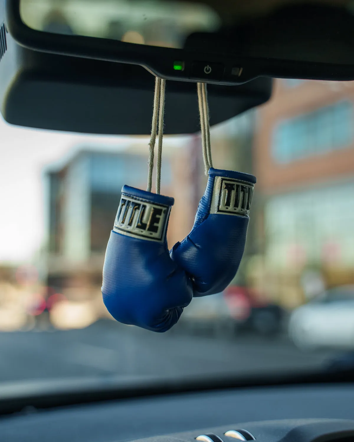 TITLE Boxing 3.5” Mini Boxing Gloves