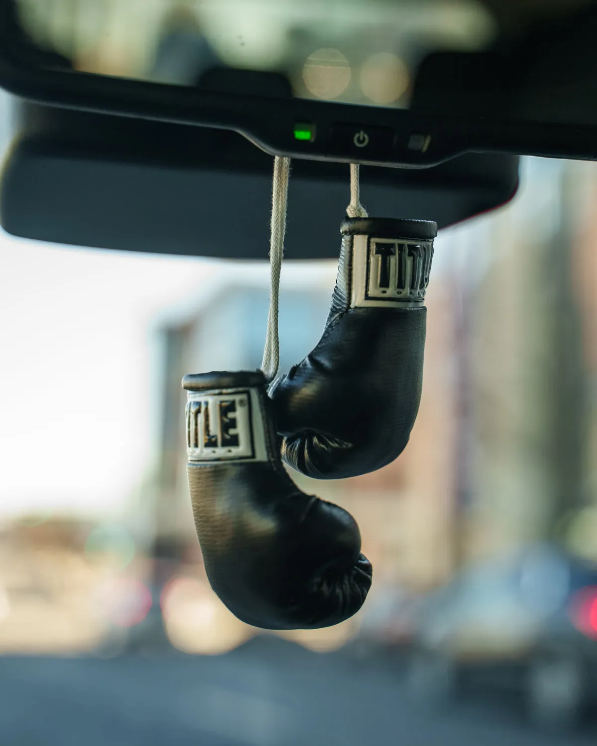 TITLE Boxing 3.5” Mini Boxing Gloves