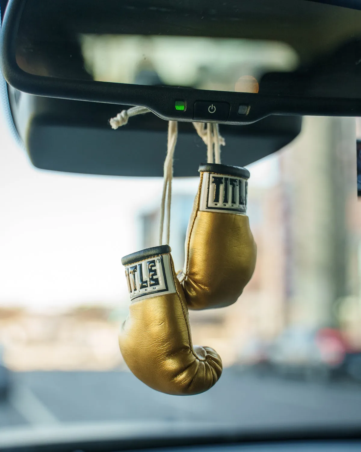 TITLE Boxing 3.5” Mini Boxing Gloves