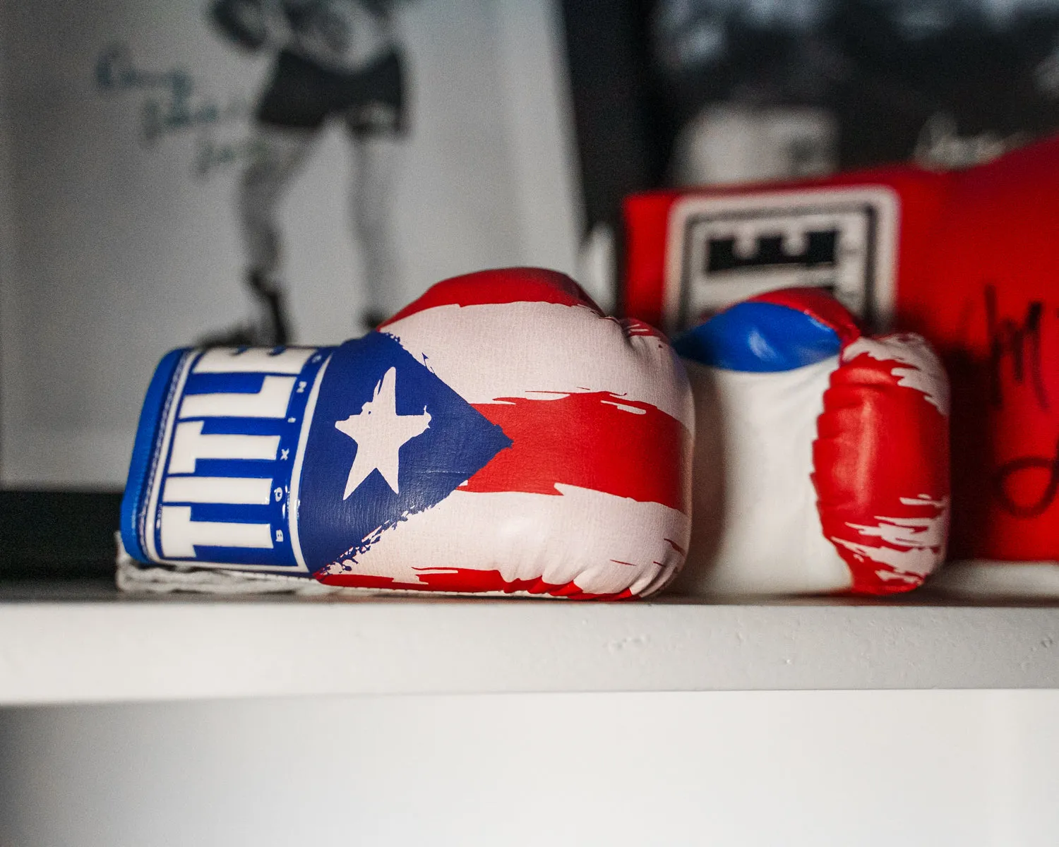 TITLE Boxing Puerto Rico Flag Mini Gloves