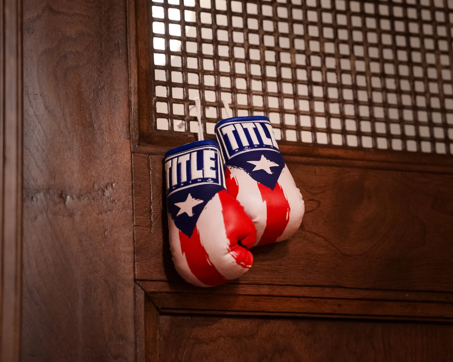 TITLE Boxing Puerto Rico Flag Mini Gloves