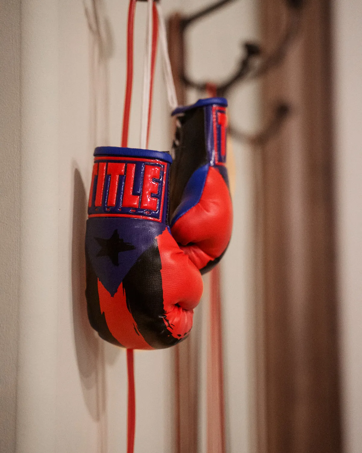TITLE Boxing Puerto Rico Flag Mini Gloves